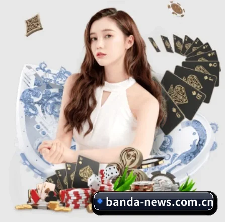 半岛综合 APP 界面